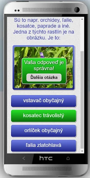 Veľká Javorina, Lubina Screenshot 2