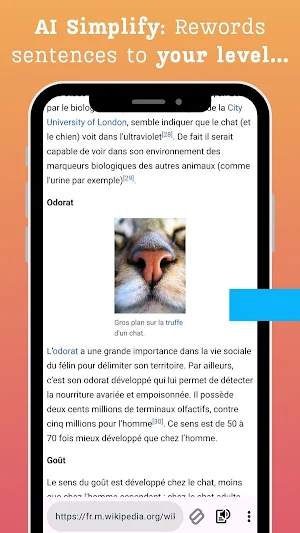 Squeno: Language Learning Screenshot 1