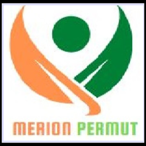 merion permutation Screenshot 3
