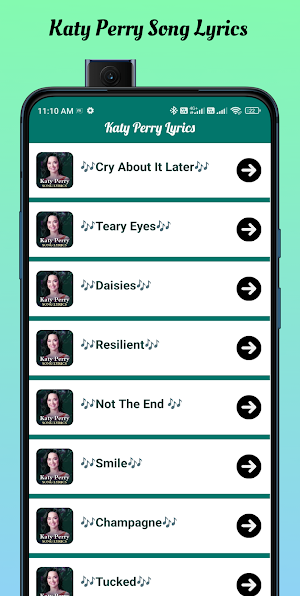 Katy Perry Song Lyrics Screenshot 3