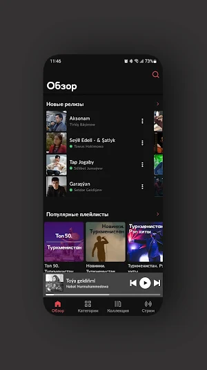 Dinle Music Screenshot 2