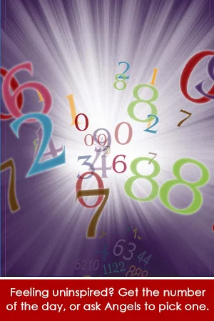 Angel Number Signs Screenshot 3