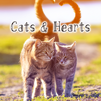 Love Wallpaper Cats & Hearts Theme
