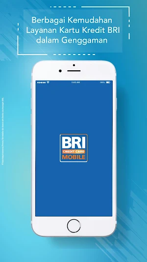BRI Credit Card Mobile Screenshot 0