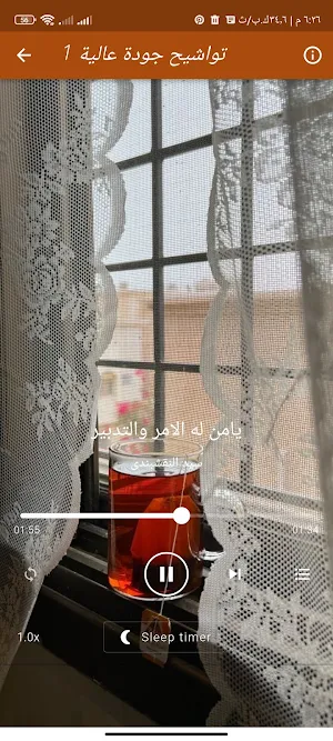 تواشيح سيد النقشبندى بدون نت Screenshot 2