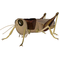 3D Grasshopper Explorer