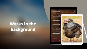 Turkey Sounds - Wild Turkey Calls Screenshot 2
