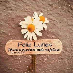 Biblia Dios Habla Hoy Screenshot 3
