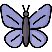 Kelebek - Exam Sitting plan