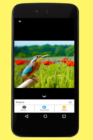 Nature Images Screenshot 3