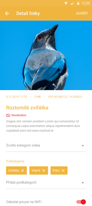 mReportér Screenshot 2