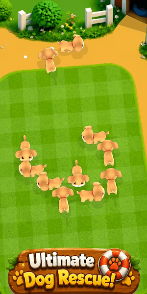 Lucky Dog Arrow Out Screenshot 3