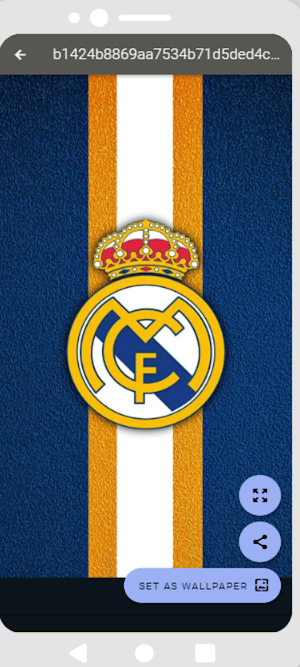 Real Madrid Wallpapers 2025 HD Screenshot 3