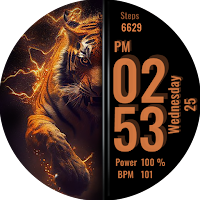 Tiger Fire Watch Face