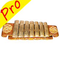 Saron Pro