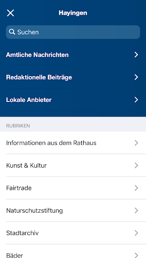 Hayingen Screenshot 1