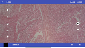 NarikaConnect Screenshot 2
