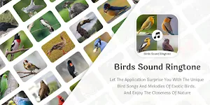 Birds Call Sound And Ringtones Screenshot 0