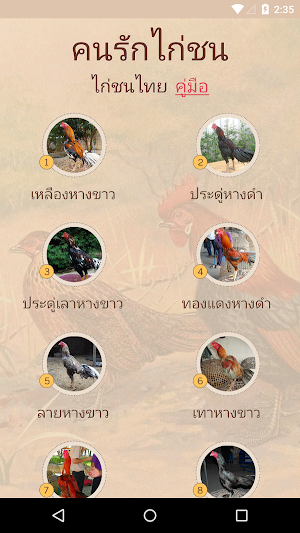 คู่มือไก่ชน Screenshot 0