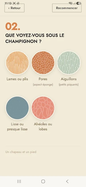 Champignons: Identifier & Spot Screenshot 2