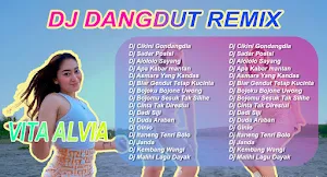 DJ Dangdut  Remix Vita Alvia Screenshot 0