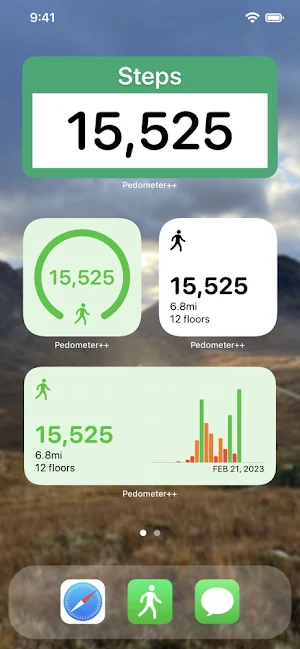 Pedometer++ Screenshot 0