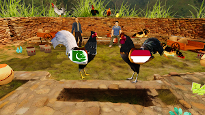 Rooster Fight 2025 Saga Screenshot 2