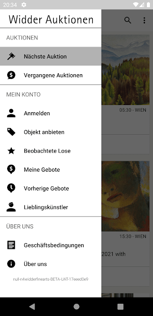 Widder Auktionen Screenshot 3