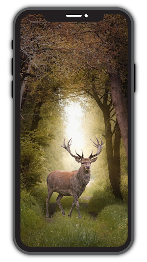 Download HD Wallpaper 2022 screenshot 2