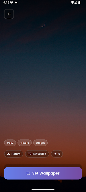 Wallpaper Pro Screenshot 1