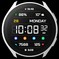LCD IV Watch Face