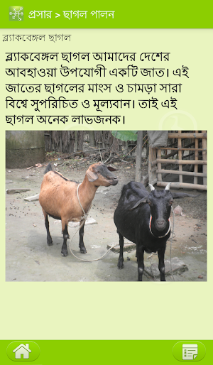PROSHAR APP Screenshot 2
