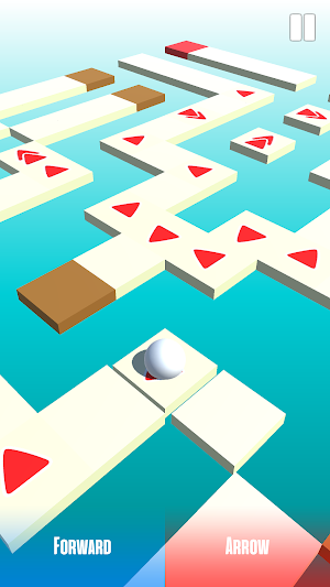 Maze Ball Arcade Screenshot 3