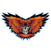 Skulls Coloring Book