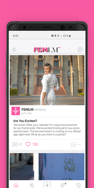 FEMLM Screenshot 0