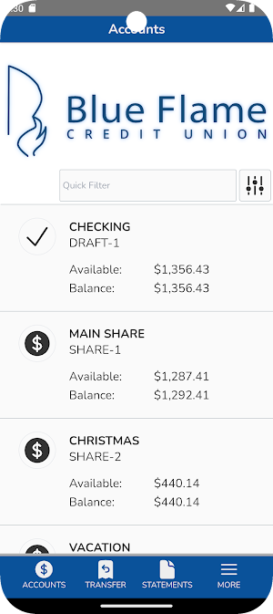 Blue Flame CU MemberNet Screenshot 1