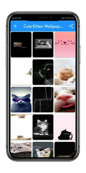 Cute Kitten Wallpaper Screenshot 2