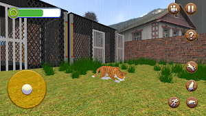 Cat Shelter Pet Simulator Game Screenshot 3