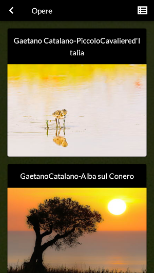 Gaetano Catalano Screenshot 3