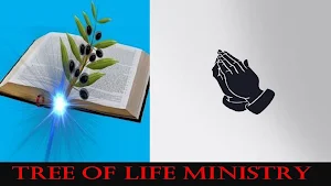 Tree Of Life Ministry Screenshot 3