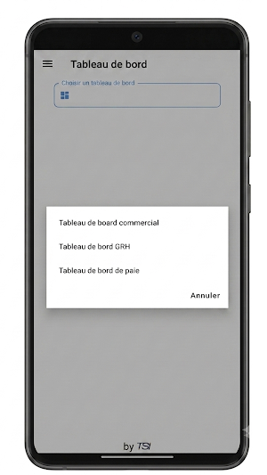 TSI ERP Mobile Screenshot 2