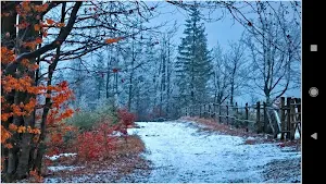 Winter Landscape Wallpapers Screenshot 3