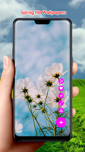 Spring HD Wallpapers Screenshot 1