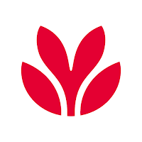 Envision Financial