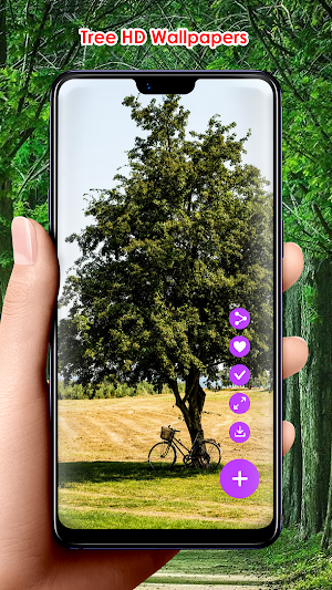 Tree HD Wallpapers Screenshot 0