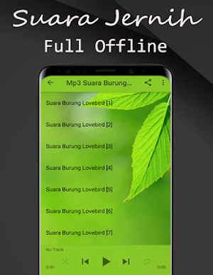 Suara Burung Lovebird Betina Offline Screenshot 3