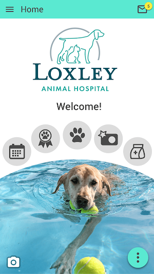 Loxley Animal Hospital Screenshot 0
