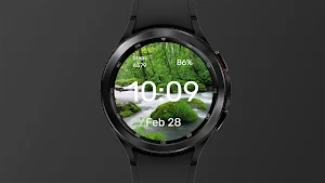 Haze in Forest - Watch Face Screenshot 0