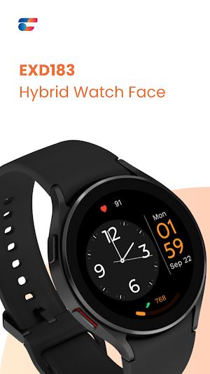 EXD183: Hybrid Watch Face Screenshot 0