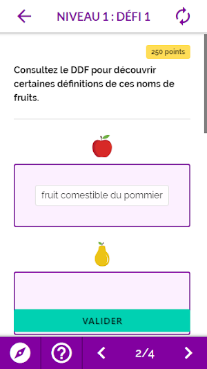 Défis DDF Screenshot 3